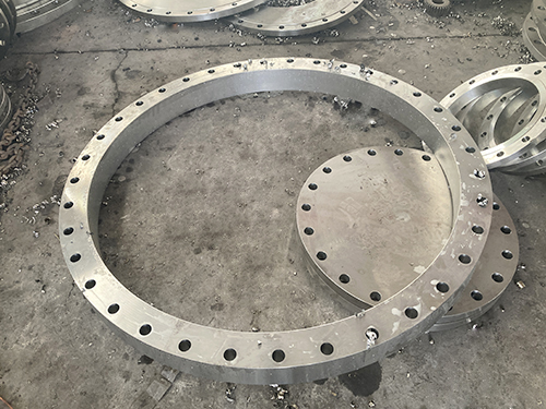 Forged flange (12)